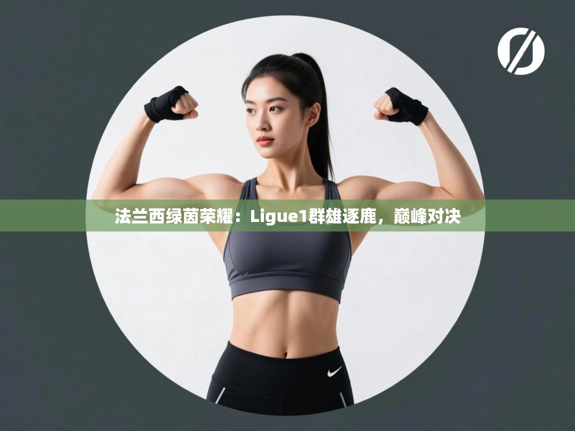 法兰西绿茵荣耀：Ligue1群雄逐鹿，巅峰对决  第2张