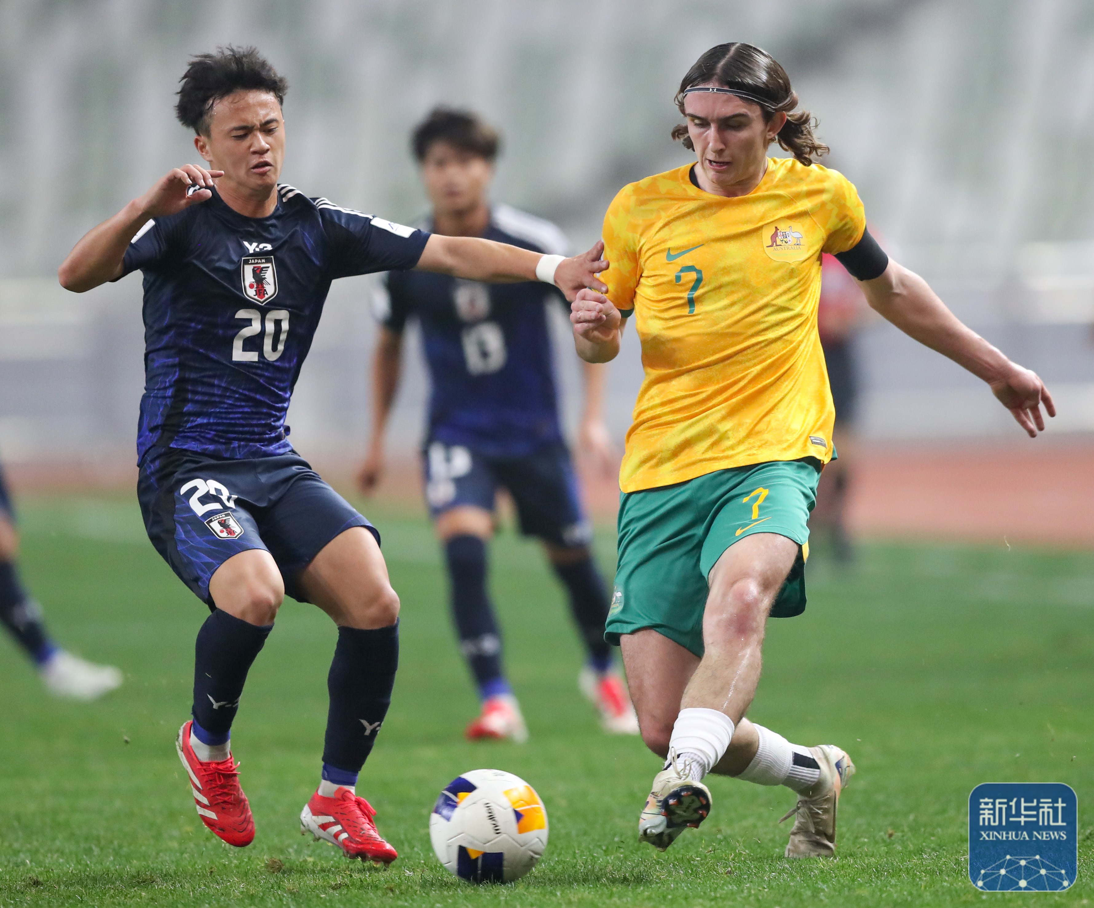 关于澳新女足闯入亚洲杯半决赛，展现实力不俗！的信息