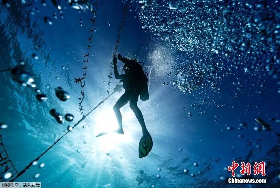 卢旺达跳水选手表现出色,令人印象深刻的简单介绍 卢旺达跳水选手表现出色,令人印象深刻的简单介绍